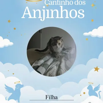 Nossos anjinhos lindos de hoje 🥹💙🐾