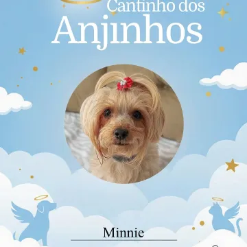 A saudade é eterna por isso honramos as memórias dos nossos anjinhos de hoje! 💙🥹🐾