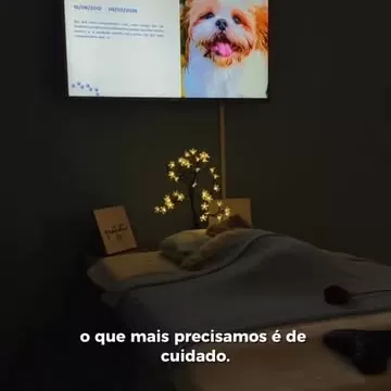 Sabemos que cada despedida é única e por isso nos preocupamos com cada detalhe para honrar a memória dos nossos anjinhos!  agora todo anjinho que passar pela nossa cerimônia, terá sua cartinha personalizada de despedida.💙🐾