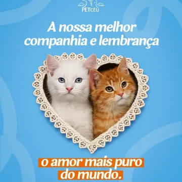O amor mais puro e sincero do mundo 💙🐾