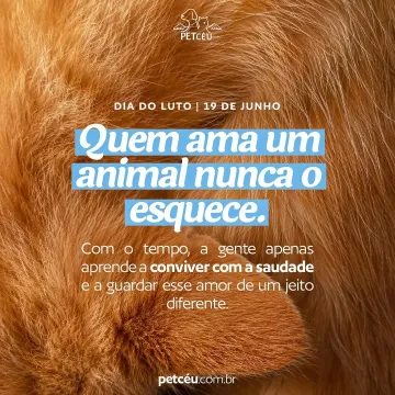 Neste dia nós honramos todos os anjinhos e cada família 💙🥹