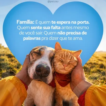 Neste mês tão especial, a gente lembra que família é a que celebra cada um que faz seu lar mais feliz&nbsp;🐾 💙