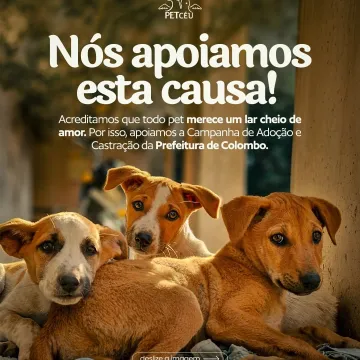 Vem conhecer um novo melhor amigo! 💙