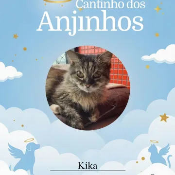 Nossos anjinhos de hoje 💙🐾  📍Importante: devido ao limite de 20 fotos por post, faremos novas postagens em breve para que nenhum anjinho fique de fora ✨